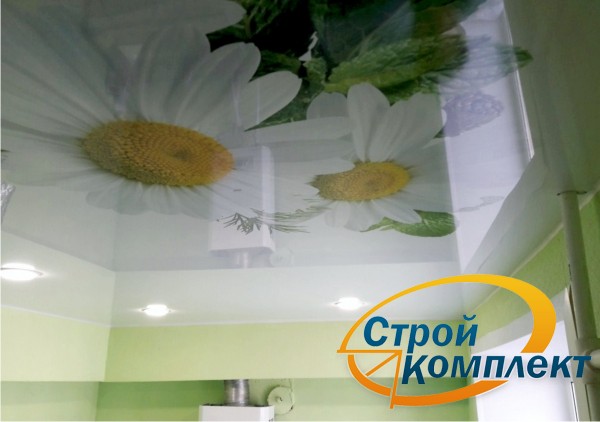 Натяжные потолки с фотопечатью