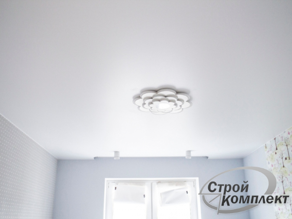 Фото матового натяжного потолка в зал